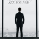 Illustration for article titled First emFifty Shades/em Movie Poster: a Bleak View and a Lonely Salaryman